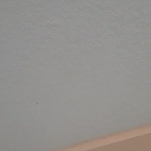 Meet your Posher, Jojo